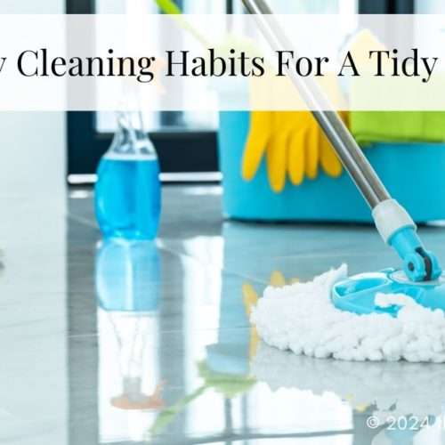 daily cleaning habits