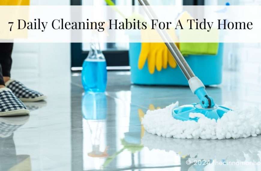 daily cleaning habits