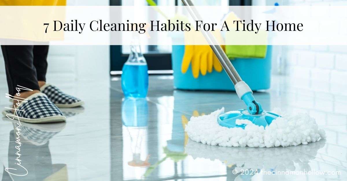 daily cleaning habits