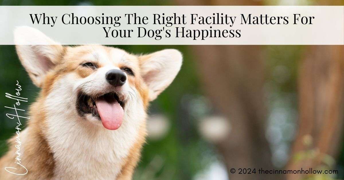 Dog's Happiness