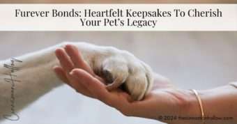 pet keepsakes