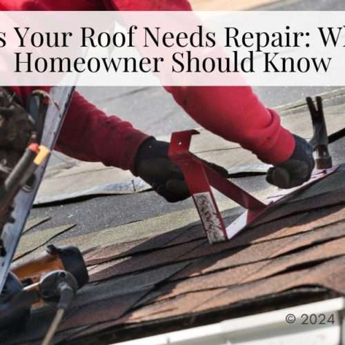 roof needs repair