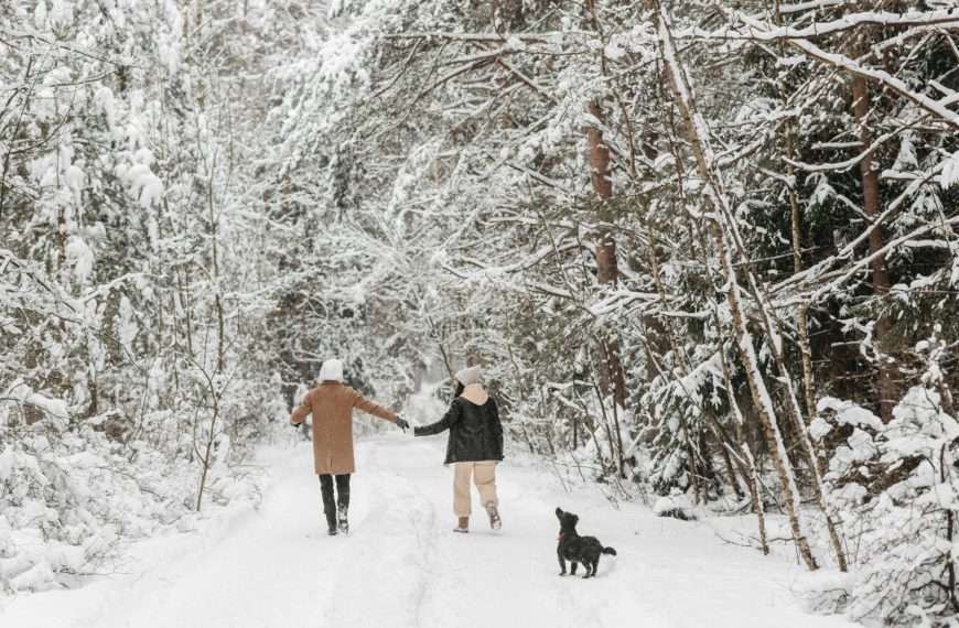 couple on a snow covered pathway