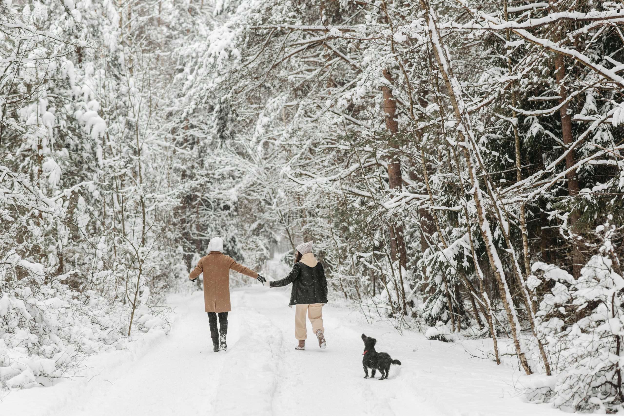 couple on a snow covered pathway