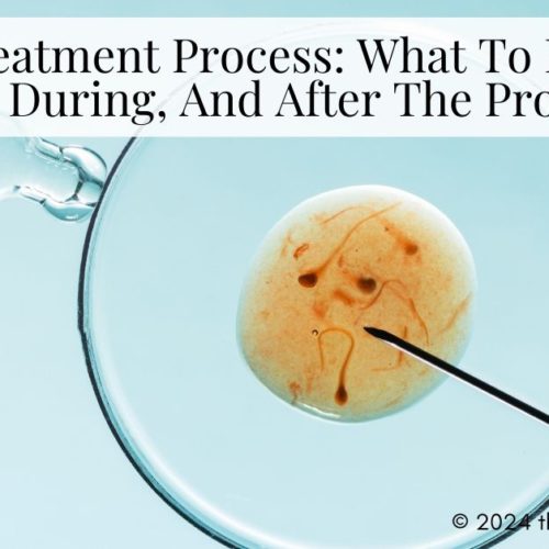 IUI Treatment Process