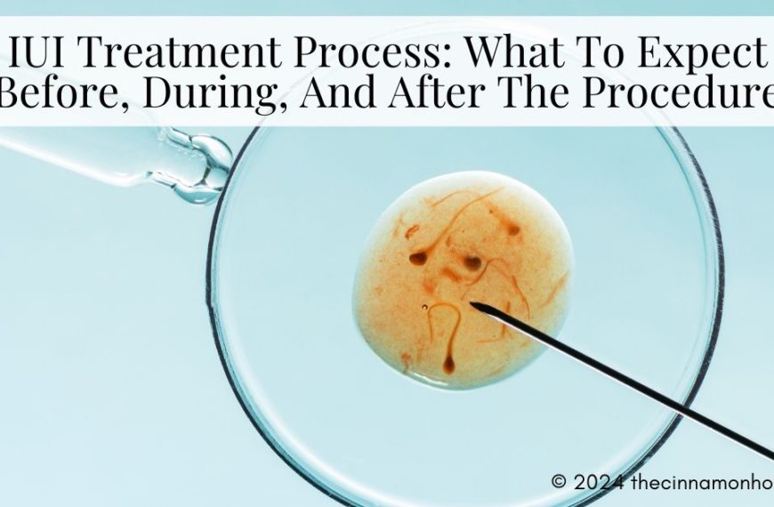 IUI Treatment Process