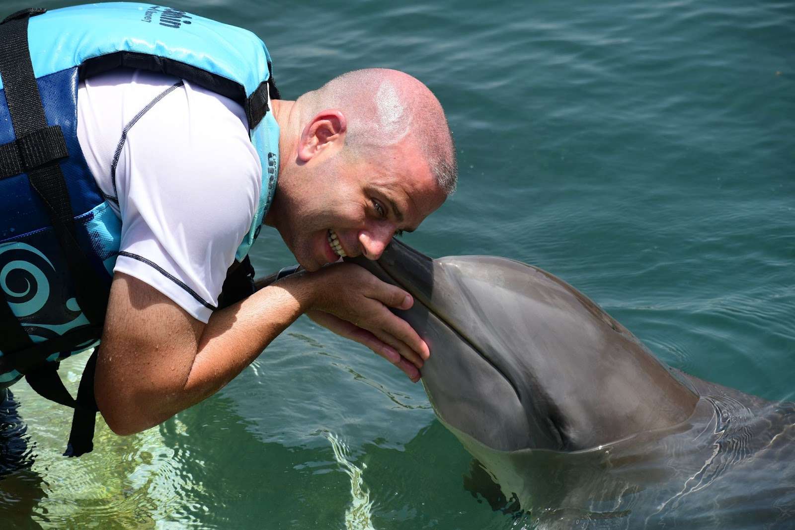 Dolphin Discovery's World-Class Marine Encounters