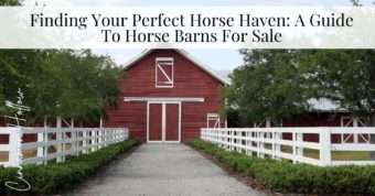 guide to horse barns for sale - horse barn