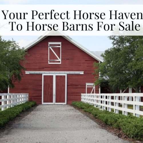 guide to horse barns for sale - horse barn