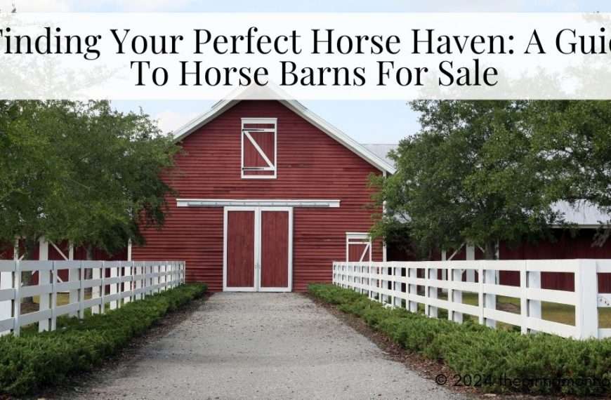 guide to horse barns for sale - horse barn