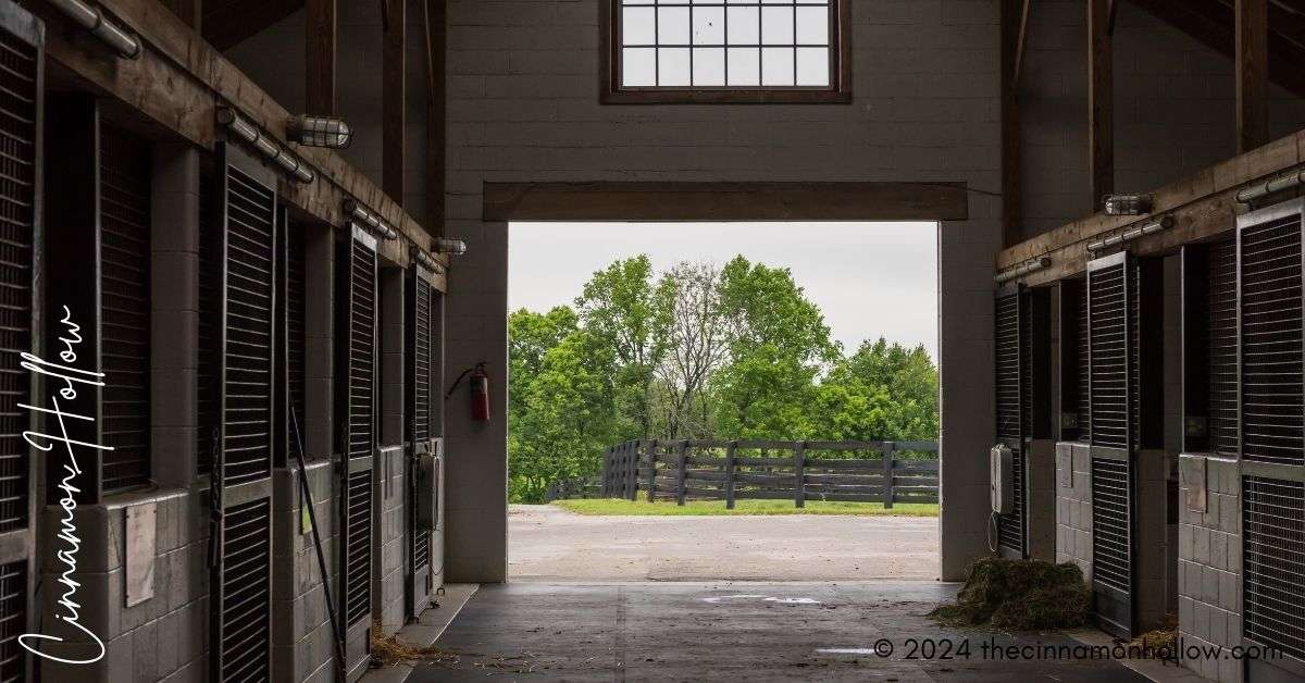 horse barns for sale - horse barn