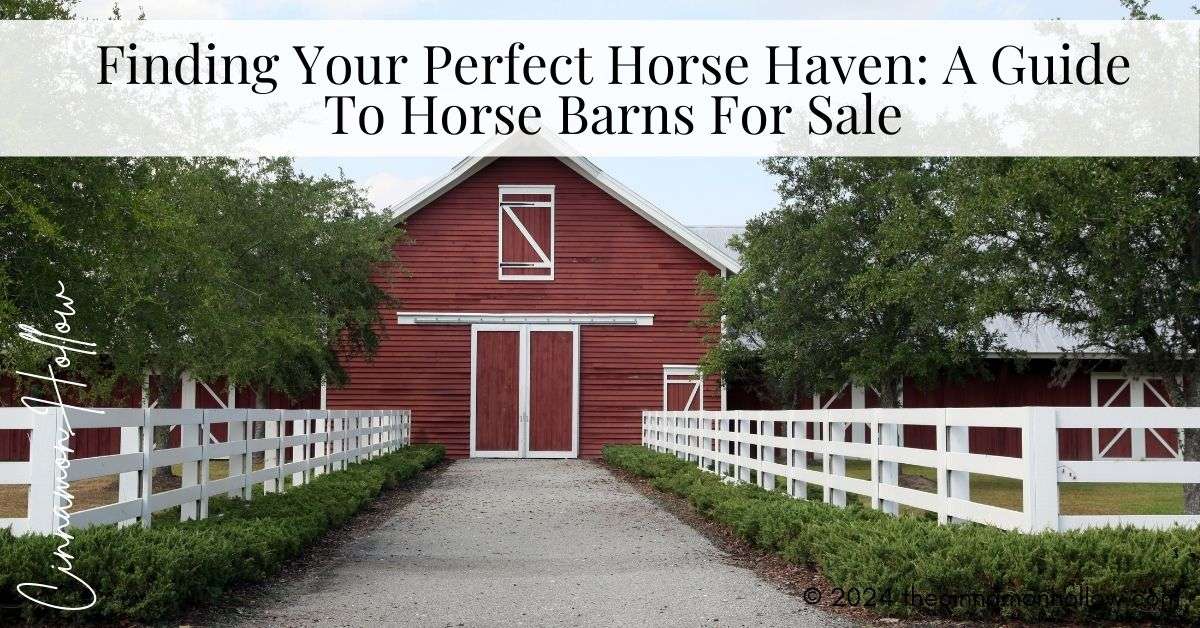 guide to horse barns for sale - horse barn