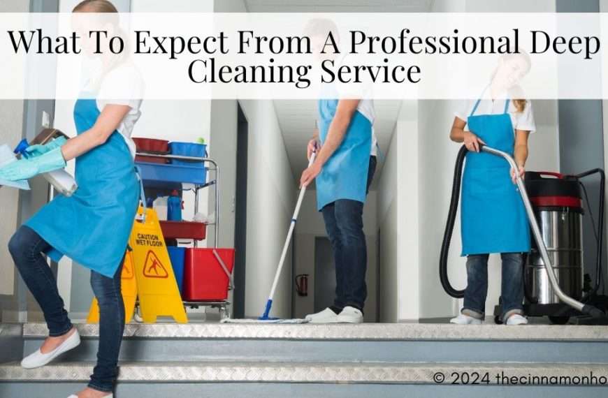 professional deep cleaning service