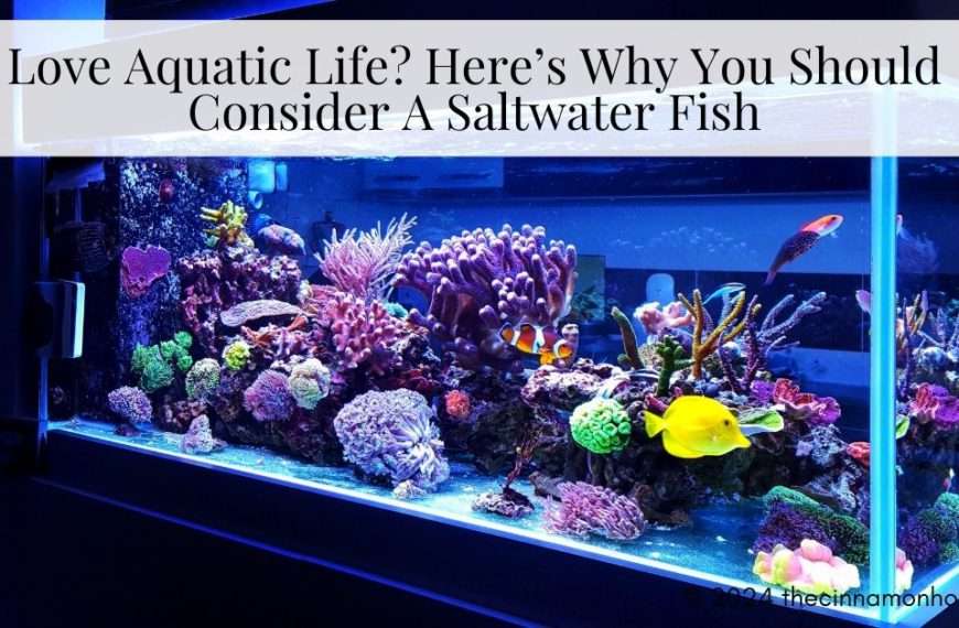 Aquatic Life Saltwater Fish