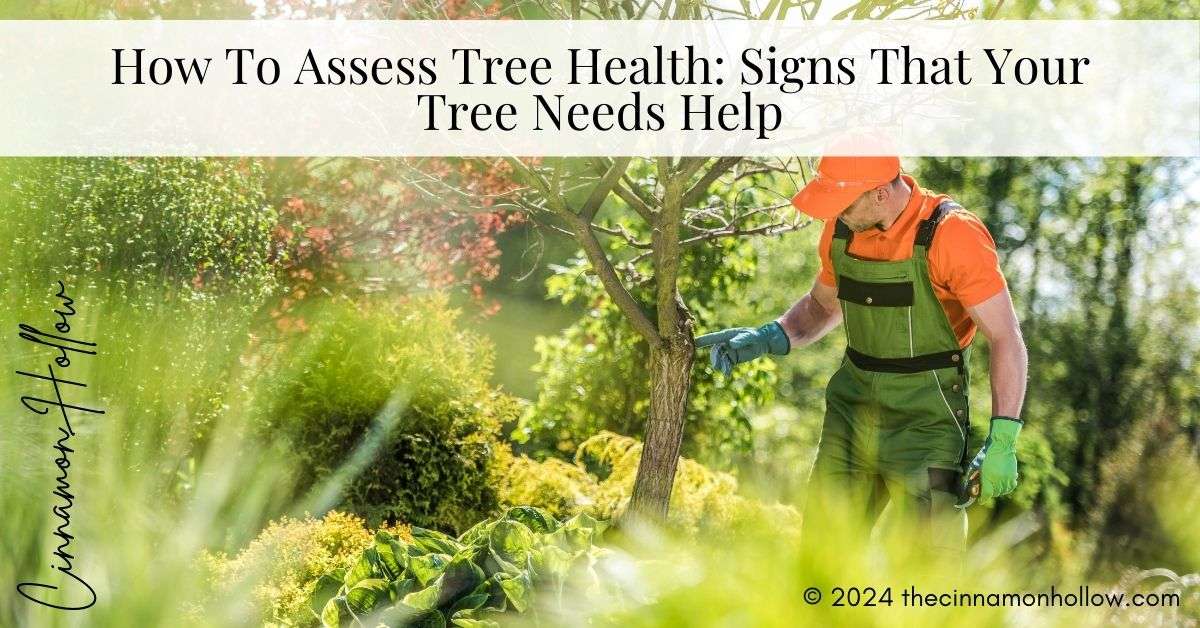 tree health