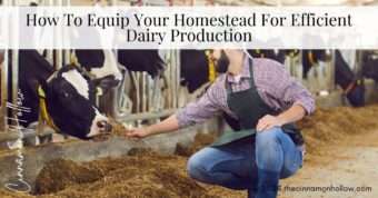 dairy production homestead