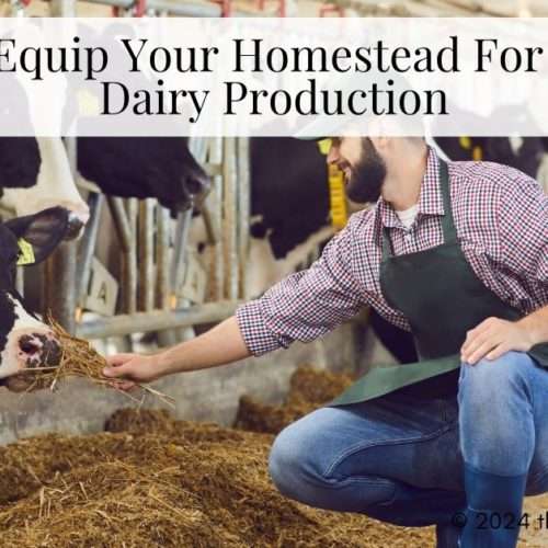dairy production homestead