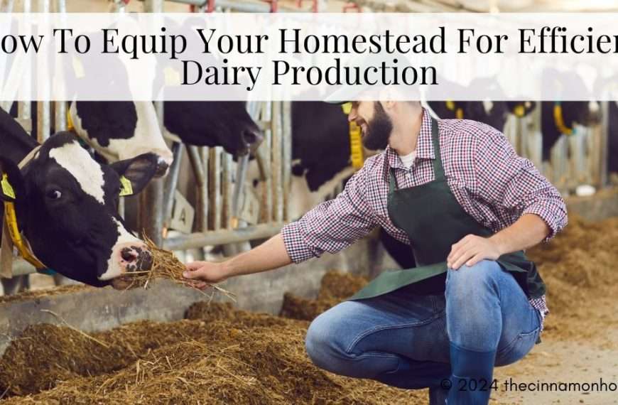 dairy production homestead