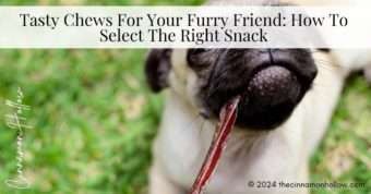 dog chews