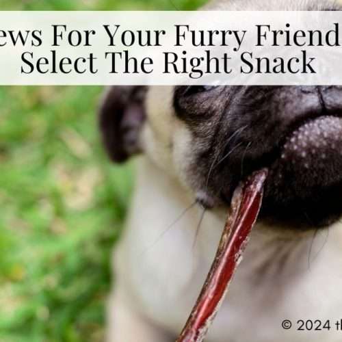 dog chews