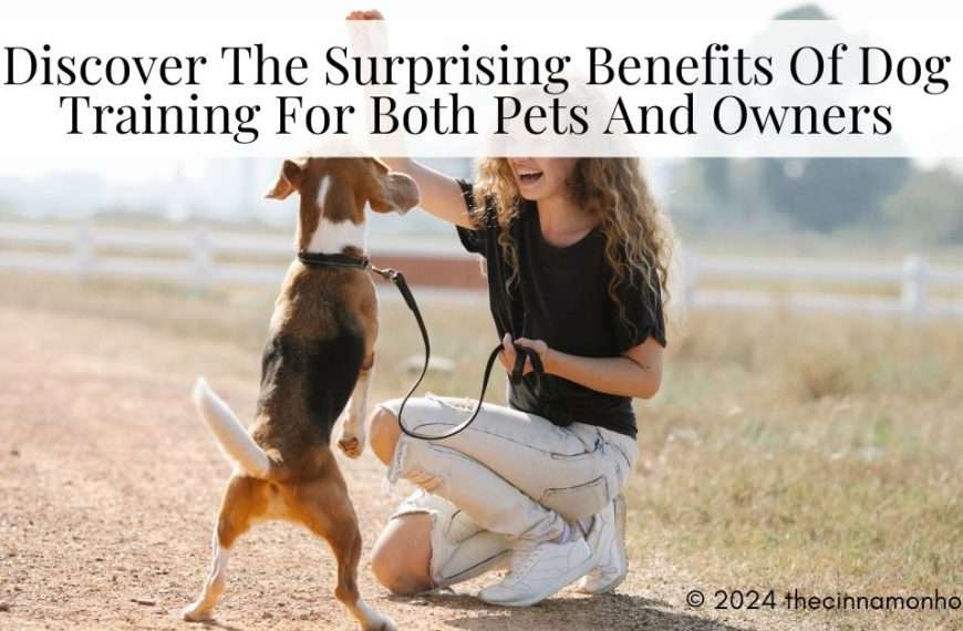 dog training