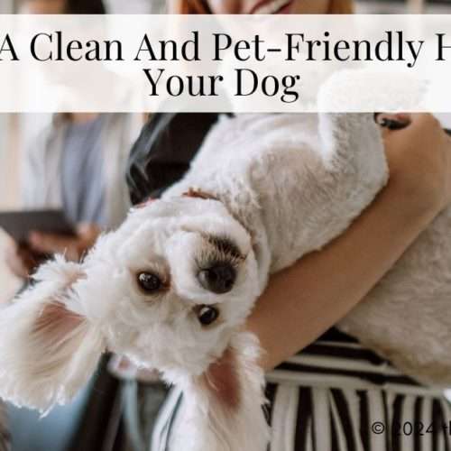 pet-friendly home