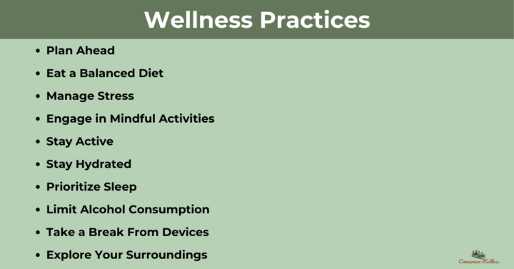 travel wellness practices