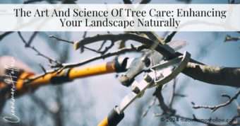 tree care