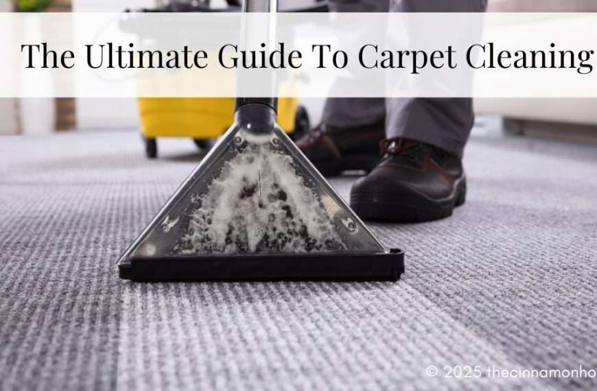 carpet cleaning