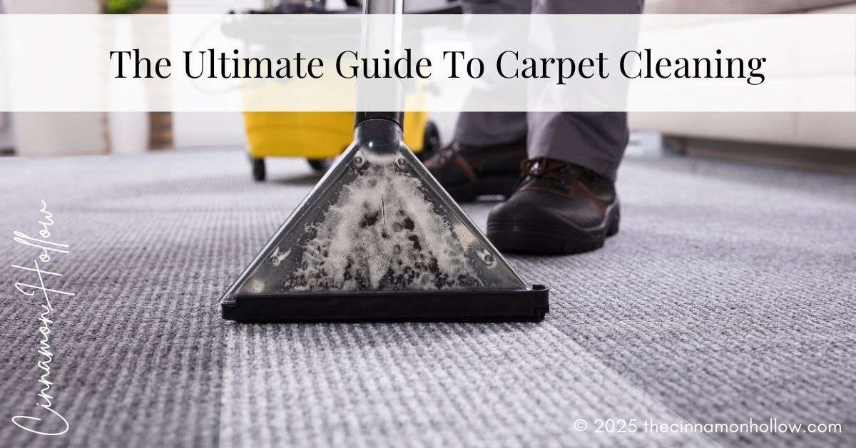 carpet cleaning