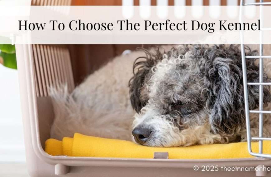 how to choose the perfect dog kennel