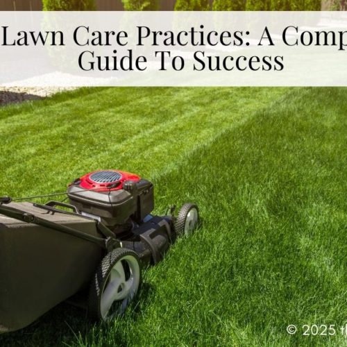Efficient Lawn Care Practices