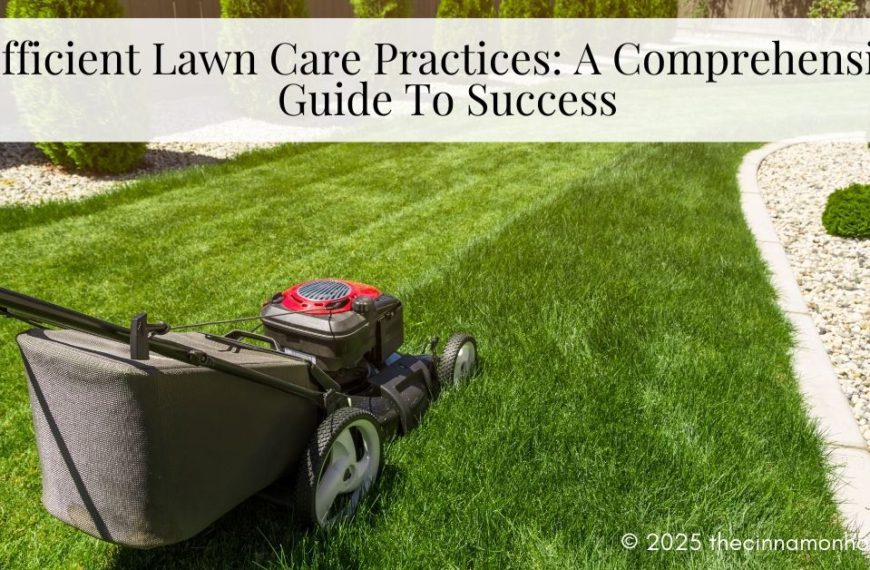 Efficient Lawn Care Practices