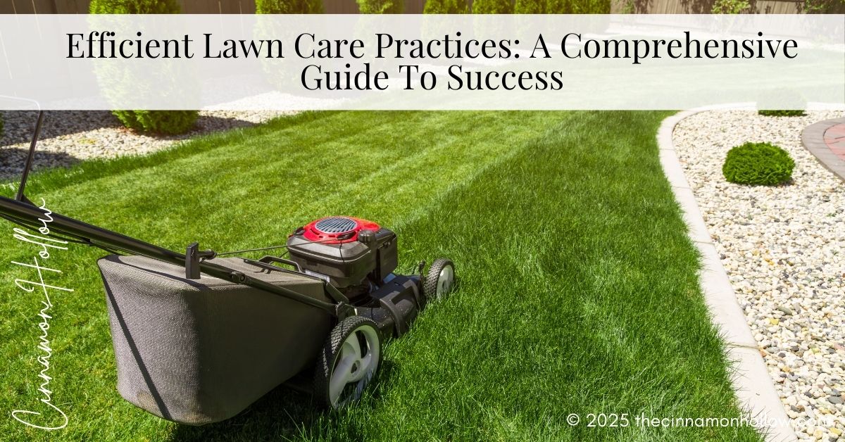 Efficient Lawn Care Practices