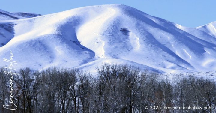 snow covered mountain in Idaho