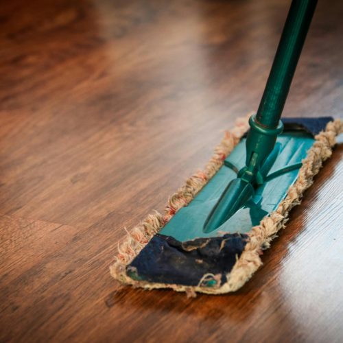 housework mopping the floor