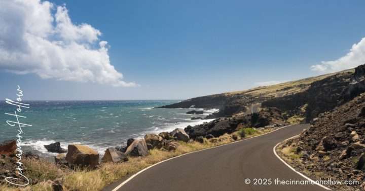 Road To Hana Tour Maui