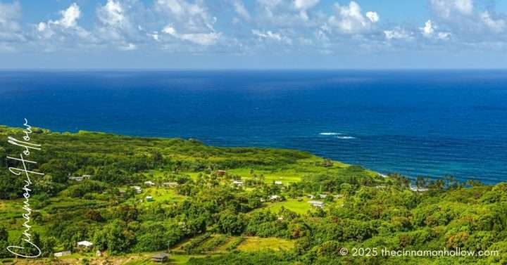 Wailua Valley Maui