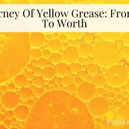 yellow grease