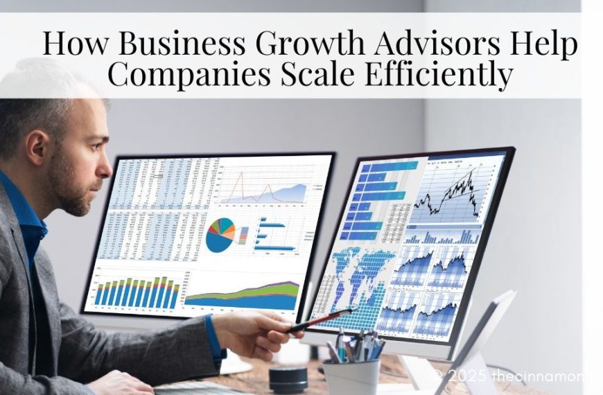 Business Growth Advisors