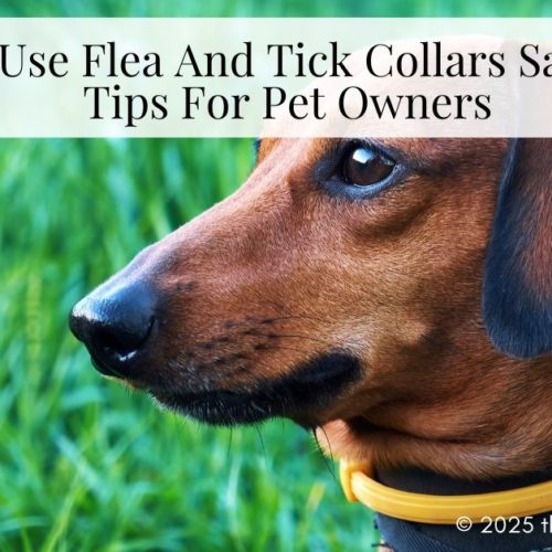 flea and tick collars