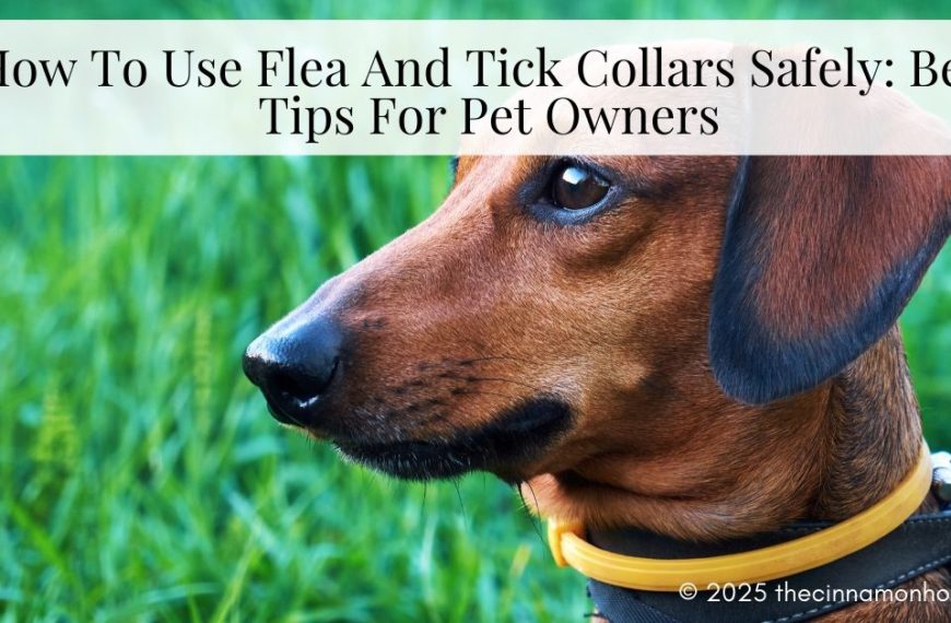 flea and tick collars