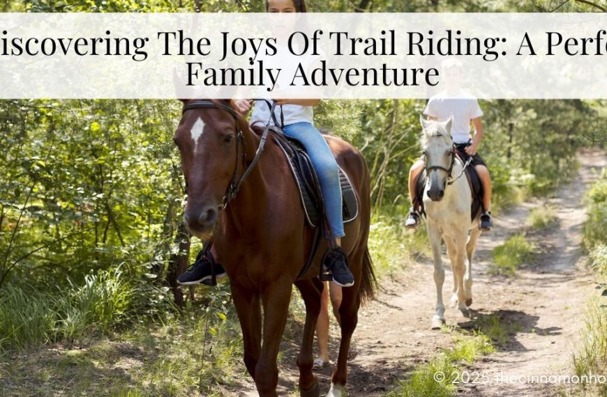 horseback trail riding