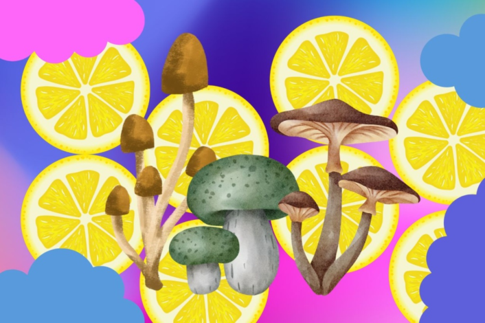 Psilocybin-Infused Beverages