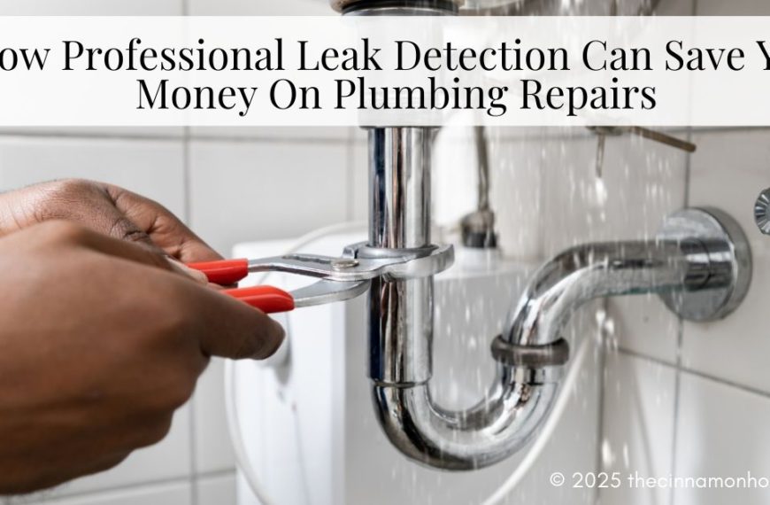 professional leak detection for plumbing repairs