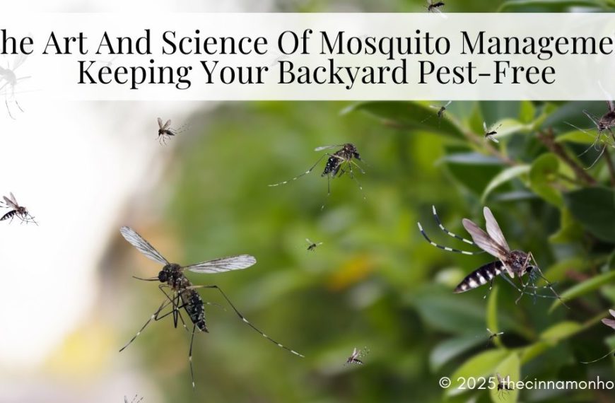 Mosquito Management