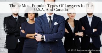 types of lawyers