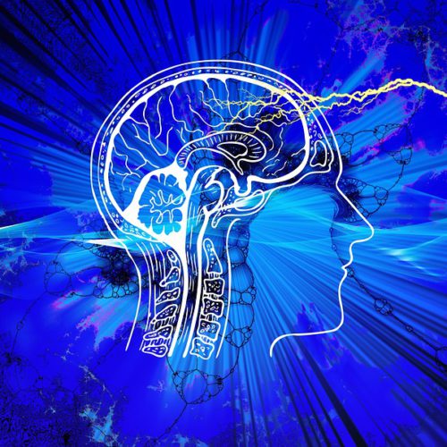 Holistic Approaches to Supporting Brain Health Naturally