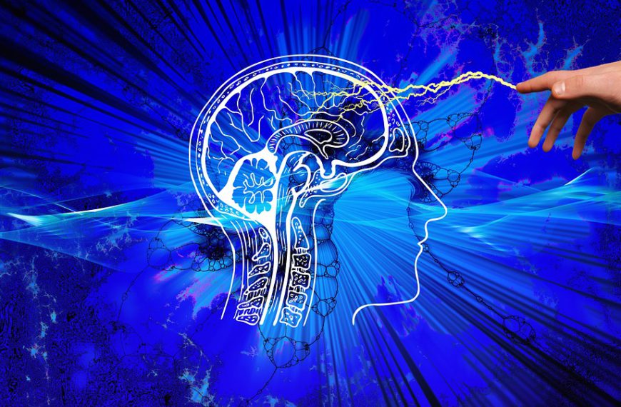 Holistic Approaches to Supporting Brain Health Naturally