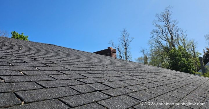 asphalt tile shingles